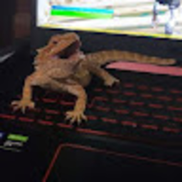 anthonyespin265